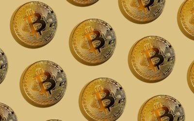 Navigating Cryptocurrency Investment with ByBot Pro: A Balanced Approach to Building Your Portfolio